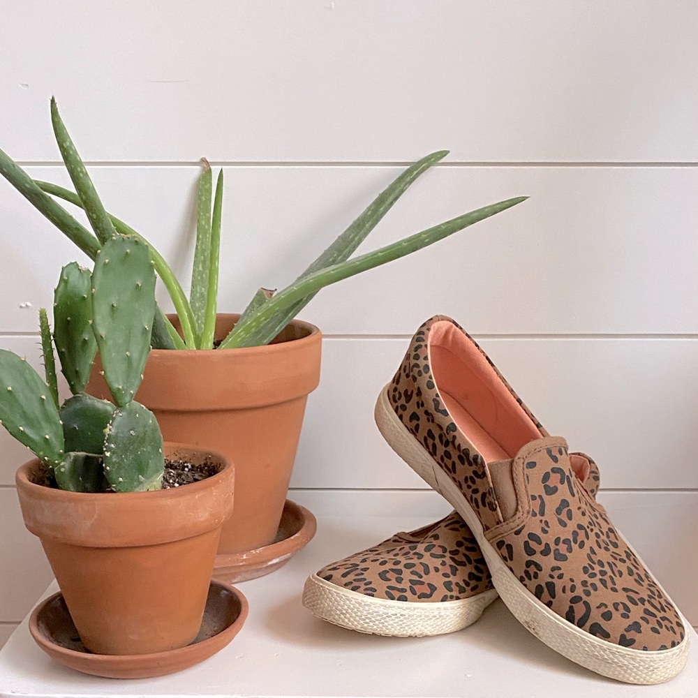 CAT & JACK cheetah slip-one // size 5 girls